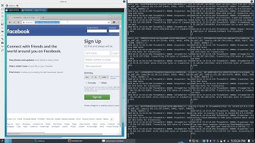 SubstratumNode Global Multi-Node Test - Part 2: Browsing