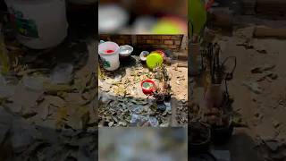 Home Reset Whole House Cleaning Motivation   