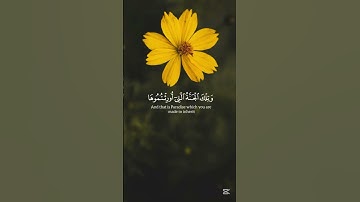 سورة الزخرف ( ألذين امنوا بايتنا وكانوا مسلمين ) | الآية ٦٩ إلى ١٧٣ ياسر الدوسري #قرآن #ياسرالدوسري
