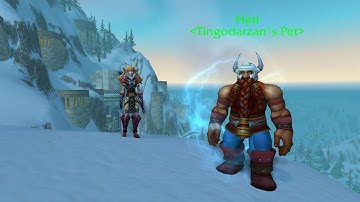 How a Dwarf Became a Hunter Pet