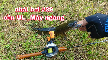 Nhái Hơi P39.Trải Nghiệm Cần UL .Máy Abu Garcia Max STX.Cần Hungting.Máy Noeby nosup pro.Cần Hunter