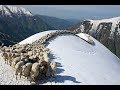 Сусамырдагы Аскадан учкан койлор.Farmer Kyrgyzstan