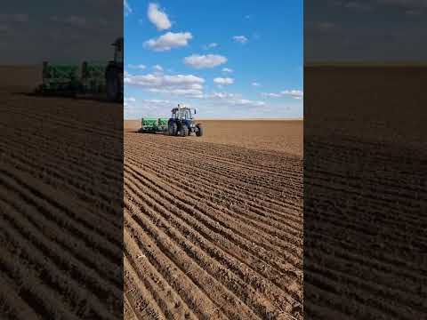 МТЗ 952.2 сеет