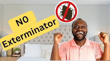 Tips For Getting Rid Of Bed Bugs Without An Exterminator