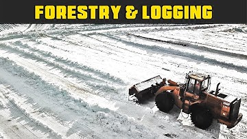 Loaders Plowing The Log Yard - Real Life Forestry & Logging - FDR Logging