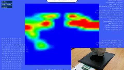 Foot Pressure Mapping Using Snowboard and MS9705