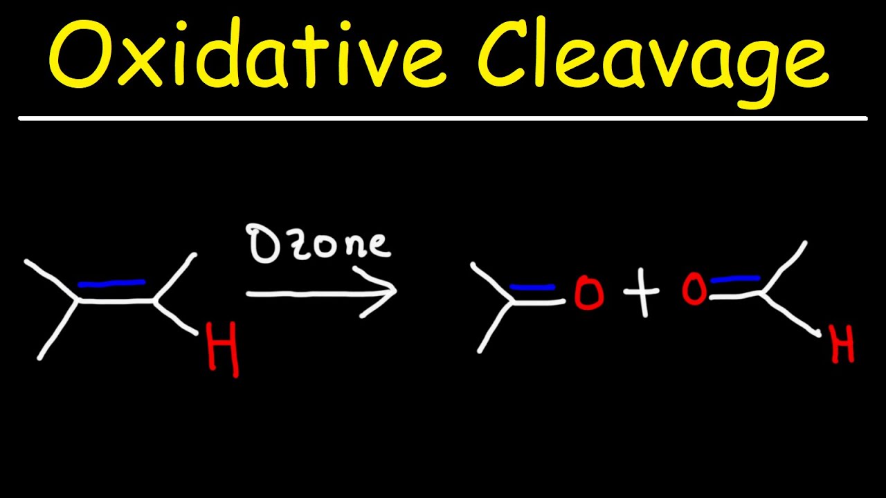 Oxidative Cleavage Of Alkenes Kmno And Ozonolysis Youtube