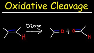 Oxidative Cleavage of Alkenes - KMnO4 and Ozonolysis