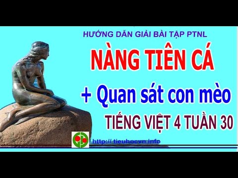 Video Bài tập Phát triển năng lực Tiếng Việt 4 Tuần 30 |... - youtube