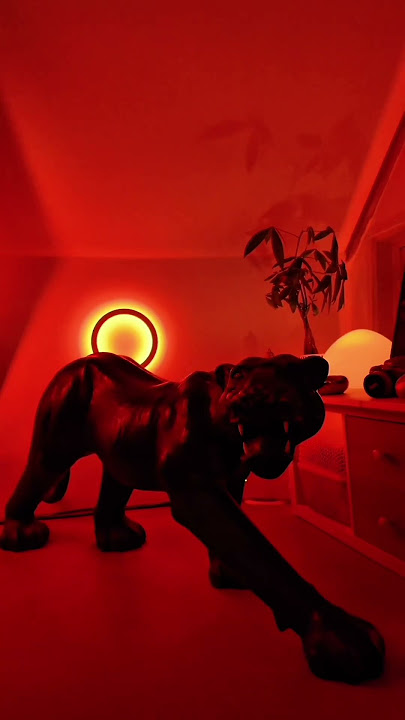 Reimagine your home with Philips Hue — light that adapts to every moment.