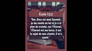 Verset Biblique Du Jour - Ésaïe 12:2 | Dieu est ma délivrance