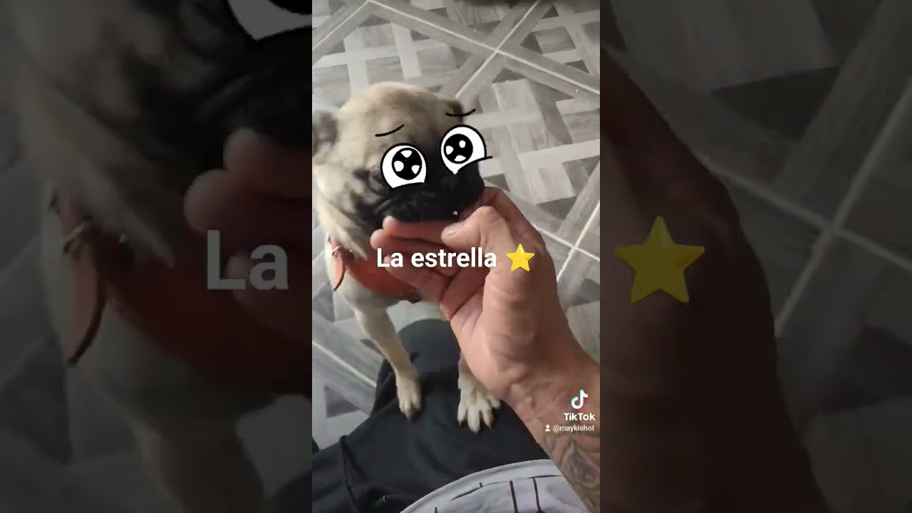 5 de septiembre de 2023