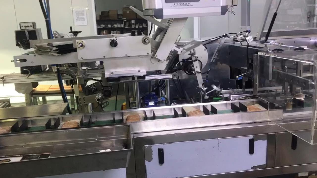 JCZ-120B Automatic sausage carton packing machine ---Jochamp Machinery ...