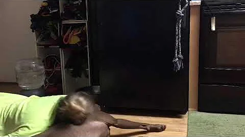 Service Dog Blocks Head During Seizure Reenactment