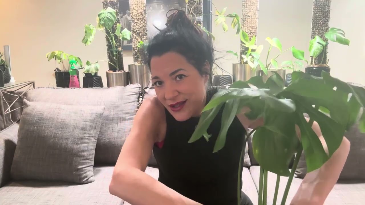 Chopping up Monatera (top cut, mid cut, wet sticks)