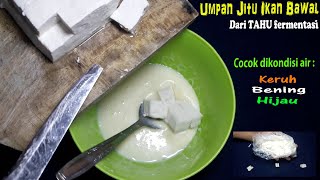 Umpan Jitu Ikan Bawal Babon dari Tahu fermentasi