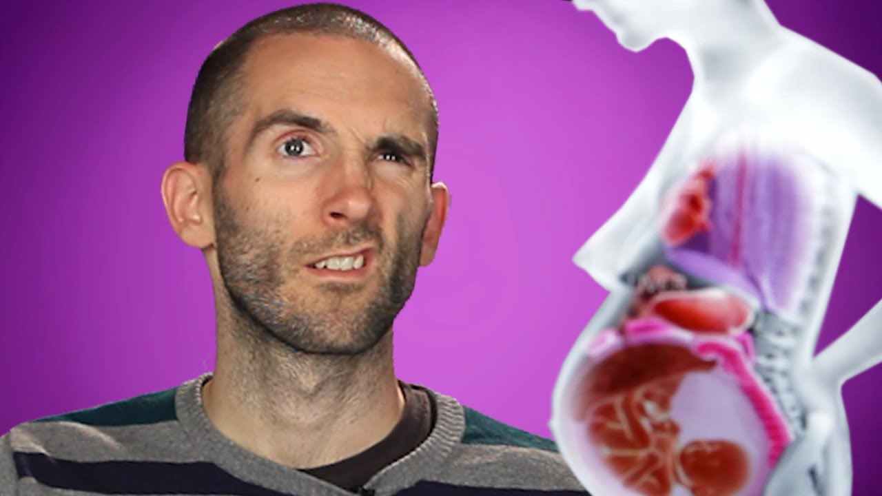 men react to pregnancy facts youtube