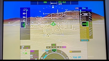 This display is incredible!