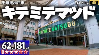 千葉県松戸市！応接3セット 松戸銘菓 戸定三楽 3個入 — ピーナッツサブレー本舗 千葉とみい