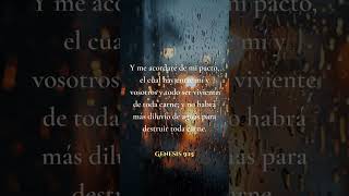🙏 Génesis 9:15 Dios se acordará de su pacto #palabradedios