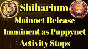 Breaking Coin | Shibarium Mainnet Release Imminent as Puppynet Activity Stops