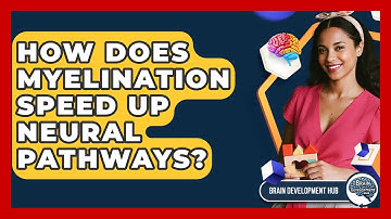 How Does Myelination Speed Up Neural Pathways? - Brain Development Hub