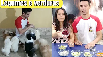 Qual legumes é bom para cachorro?