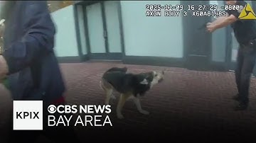 San Francisco police release video of officer shooting man and dog