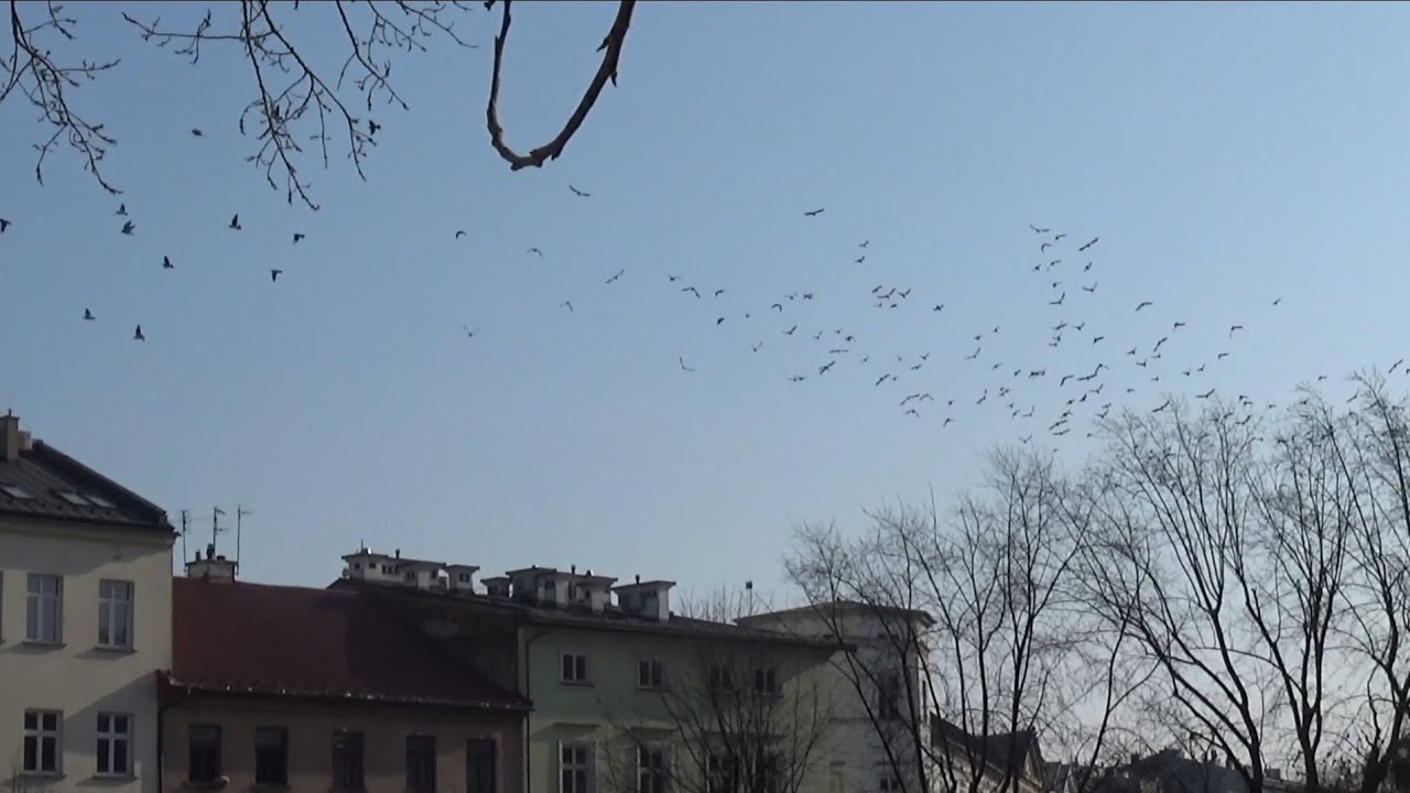 Juju e Lari em: Cracóvia, Munique e Frankfurt 