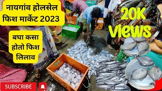 NAIGAON FISH MARKET 2023 | BIGGEST FISH AUCTION | सर्वात मोठा फिश मार्केट नायगांव मुंबई