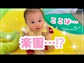 【伊豆旅行①】子どもが一日中遊べる…まるで夢のようなホテルでした😳【アンダの森】