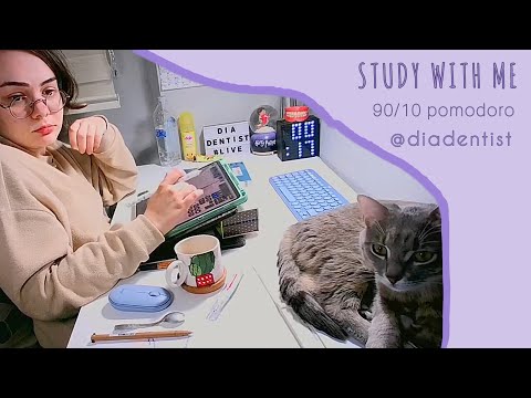 Benimle 8 saat çalış! Study with me live for 8 hours | 90/10 pomodoro #studywithme #üniversite