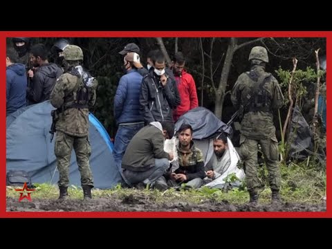 Мигранты, столкновения и газ: что происходит на границе Беларуси и Польши