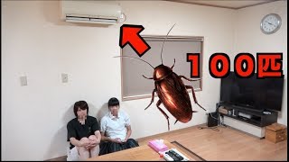 エアコンにゴキブリ100匹詰めたら妹は... エアコンにゴキブリ100匹詰めたら妹は...