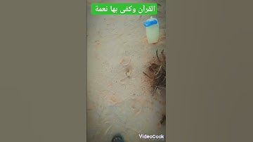 هاوي الخرجات الصحراوية قناة 2 🎧القارئ الشيخ سيد متولي رحمه الله ❤️