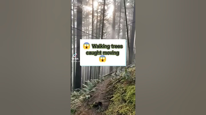 Creepy Trees Caught Moving