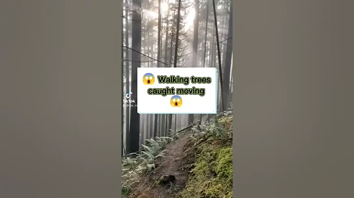 Creepy Trees Caught Moving