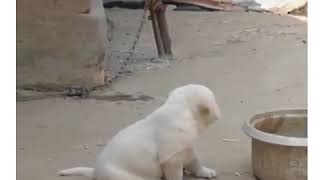 Komik Whatsapp Durumları