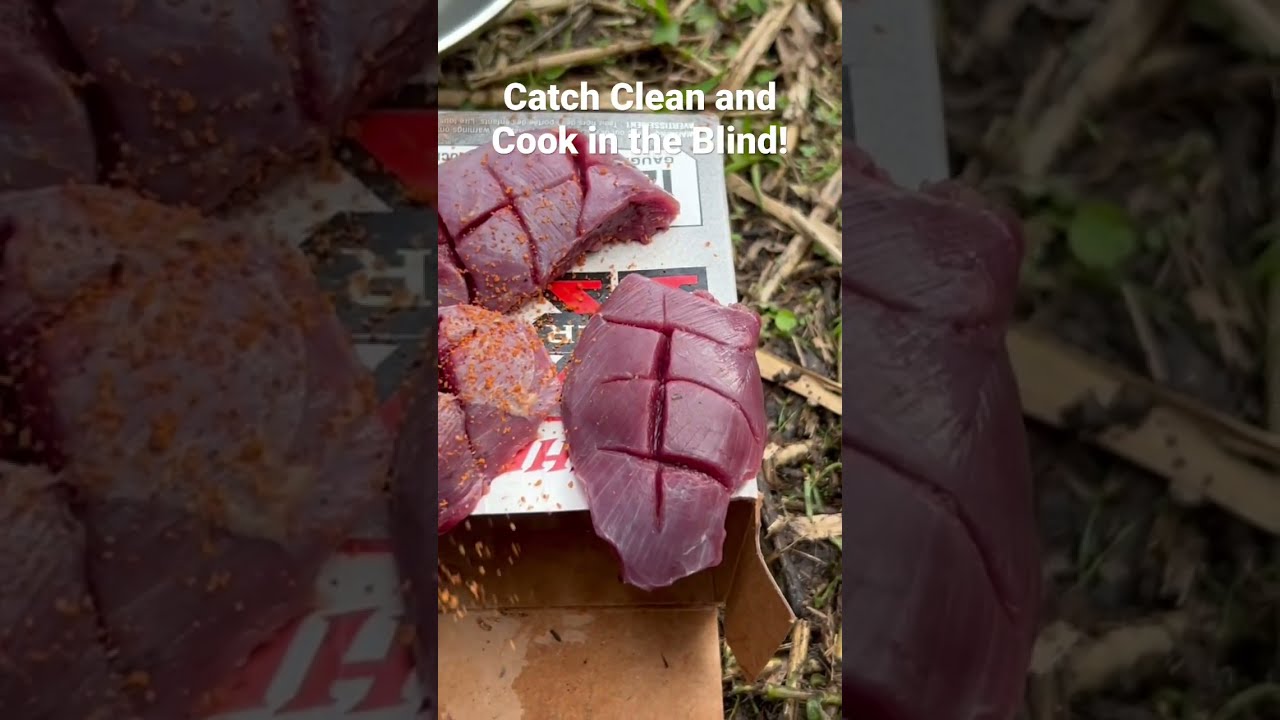 Crow Catch Clean And Cook 2022season Cajun Crowhunting Southlouisiana Cajuncooking Hunting