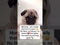 Mummy… am I really that hard to love? 😞#worldcup #dogrescue #doglife