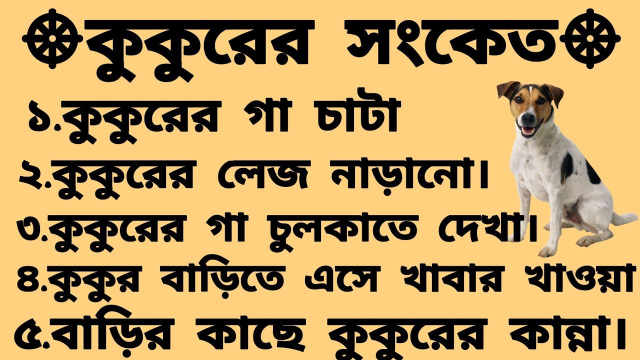কুকুরের দেওয়া 10 টি শুভ ও অশুভ সংকেত | কুকুরের শুভ ও অশুভ লক্ষণ