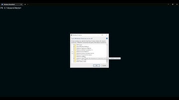 Setting up WSL (Windows Subsystem for Linux)