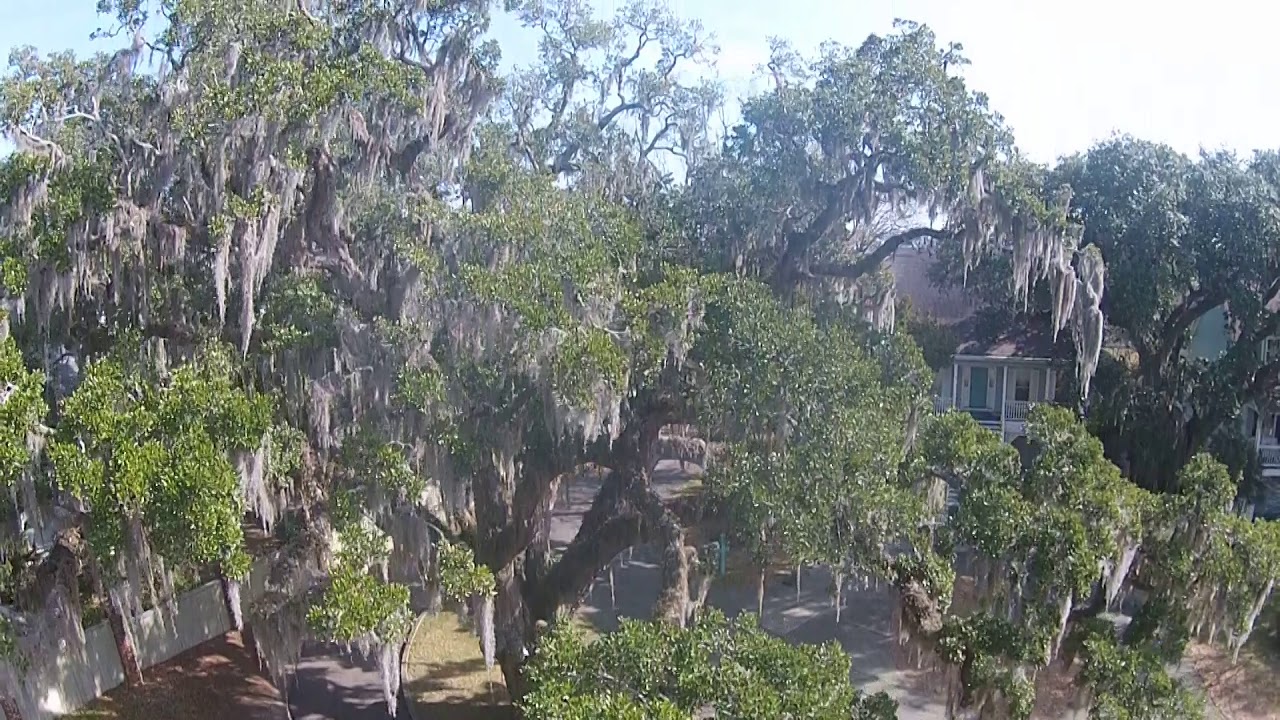 151 Berry Tree Lane, Pawleys Island, SC 29585 YouTube