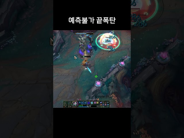 예측불가 끝폭탄