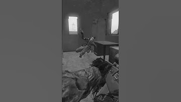 DMR = my best friend #dayz #dayzgamers #funny #dayzmod #gaming #memes #pvp #funnymemes #ps5 #xbox