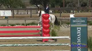 059S Avery Fletcher on Whats That Sportsfield Training Rider Show Jumping Galway Downs Feb. 2024