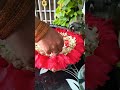 Water flower decoration ideas #uruli #diwali2024 #flowerarrangement #shorts #decoration #celebration