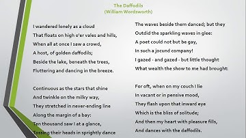 THE DAFFODILS (Part 2)class 9th