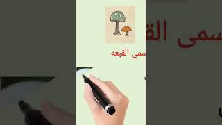 مراجعة الاحياء للصف الاول الثانوي الترم الثاني مملكة الفطريات تصنيف الكائنات الحية