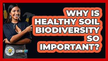 Why Is Healthy Soil Biodiversity So Important? - LearnToDIY360.com